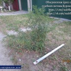 В Курске водителя лишили прав за наезд на куст