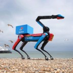 Domino's запустила робота-пса, который доставляет пиццу на пляж и защищает её от чаек