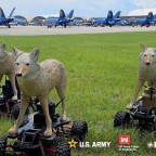 Американские военные тестируют «дронов-койотов» для отпугивания птиц с аэродромов