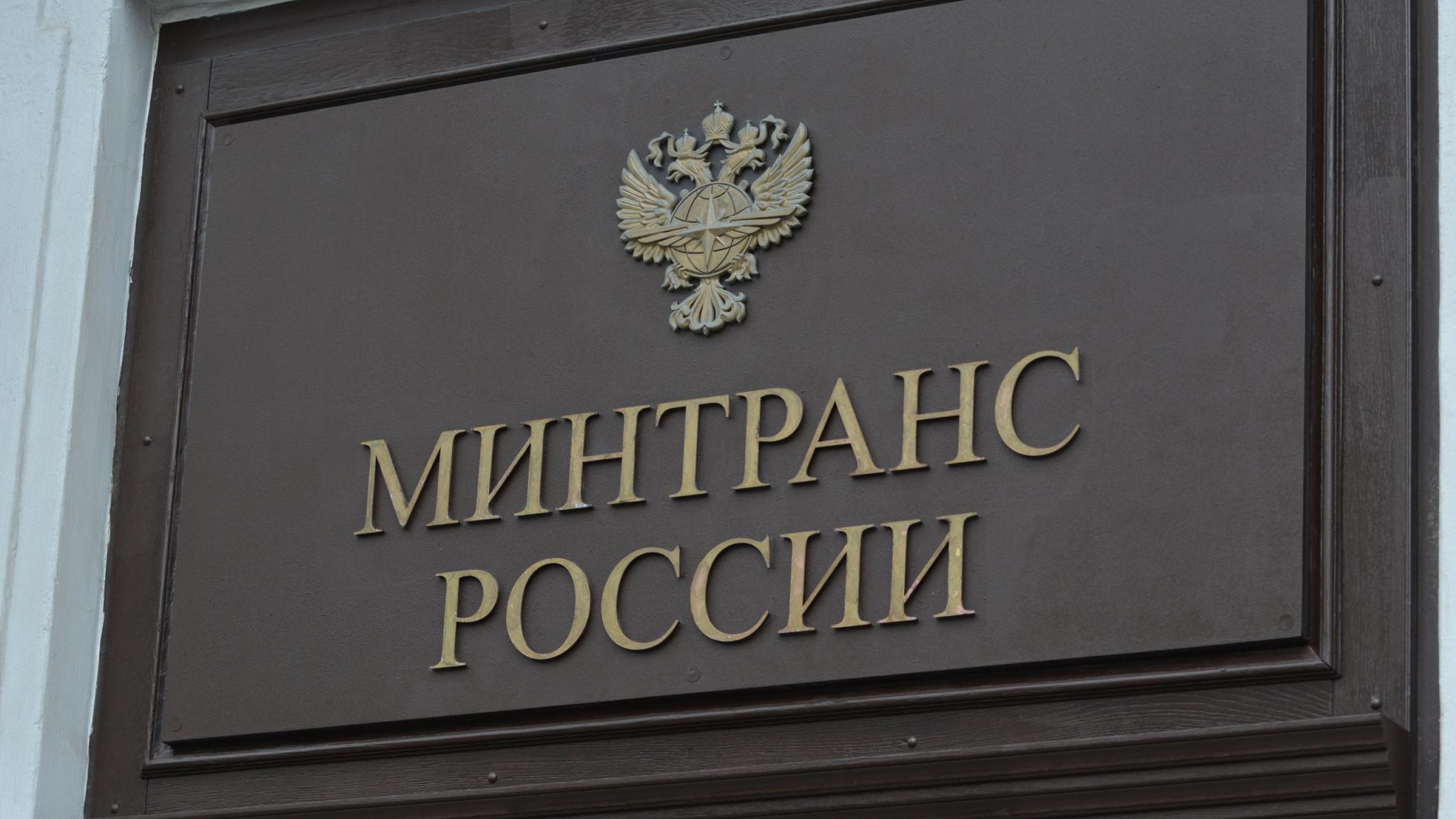 Фото: Елизавета Майко