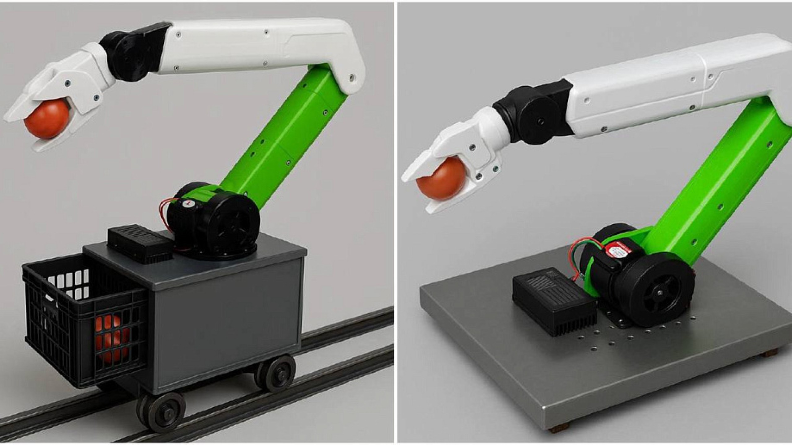 Фото: НГУ, https://www.nsu.ru/n/media/news/nauka/student-ngu-sozdal-intellektualnogo-robota-manipulyatora-dlya-avtomaticheskogo-sbora-tomatov-v-promy/#_jipjujsdz