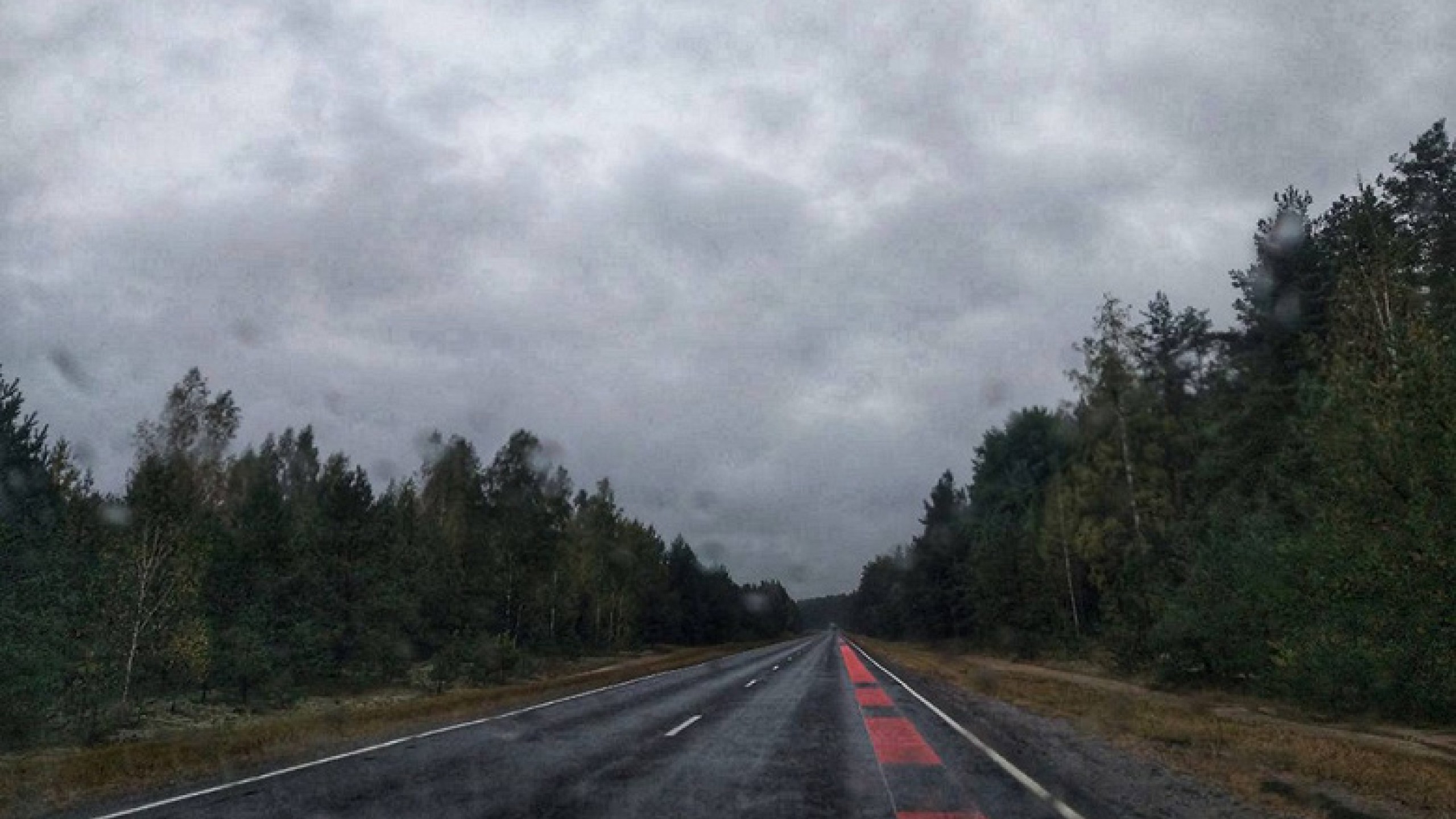 В Беларуси появилась музыкальная дорога