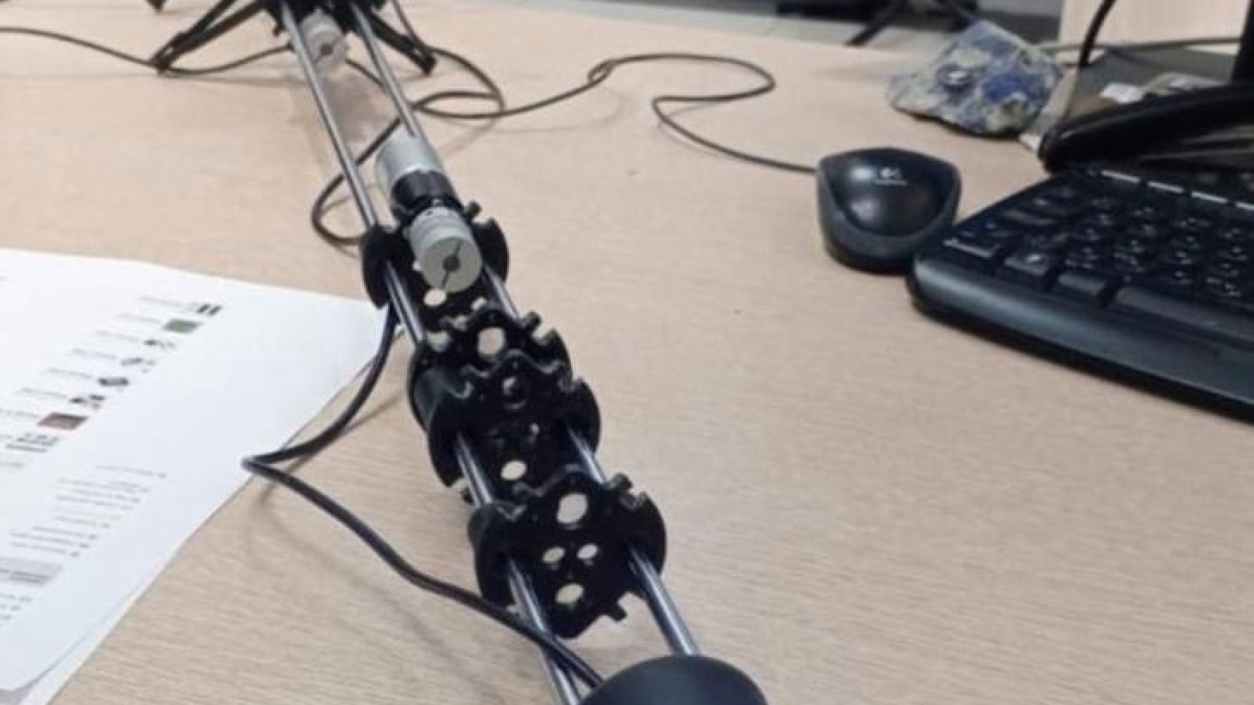 Фото: "Сибирский меридиан", ВК, Семен Гриднев