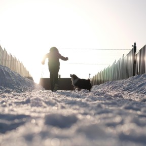 Проблемы и методы решений дорожной сети Якутии