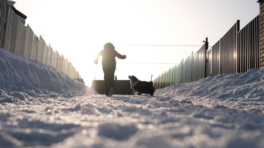 Проблемы и методы решений дорожной сети Якутии
