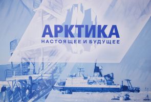 В Петербурге открылся форум «Арктика»: освоение гектаров, льготы для малого бизнеса и рекультивация свалок