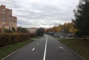 На территории Новой Москвы построят около 26 километров велодорожек