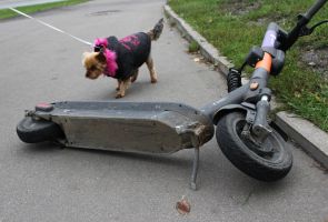 В Москве брошенные самокаты и велосипеды будут отправлять на спецстоянку