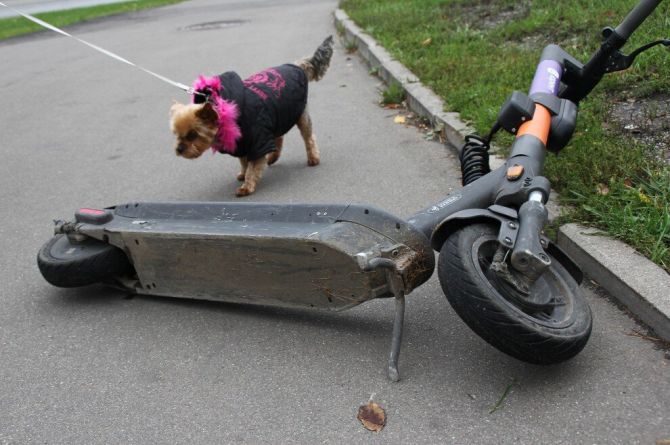 В Москве брошенные самокаты и велосипеды будут отправлять на спецстоянку