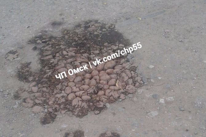 «Пюрешкой надо было»: ямы на омских дорогах залатали при помощи картофеля