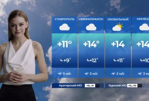 «Снежана Туманова амбициозна и заменит людей»: на ставропольском ТВ запустили прогноз погоды от нейросетей
