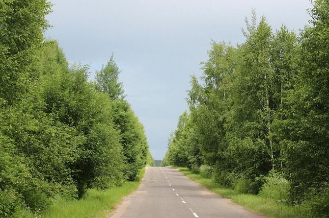 Дорогу, соединяющую две федеральные трассы, отремонтируют в Тверской области