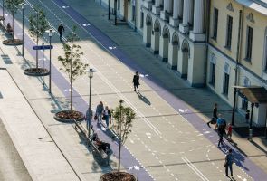 В Общественной палате предложили ввести тротуарную разметку для пешеходов