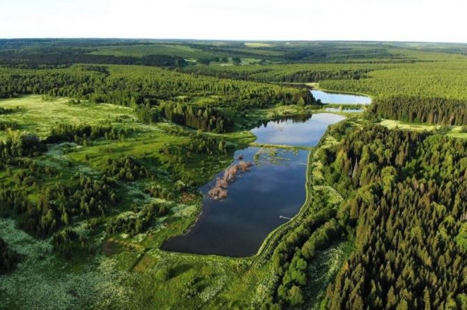 Власти Кировской области планируют построить дорогу до Архангельска