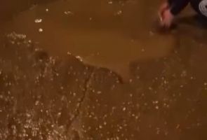 «Сибиряки- гвардейцы»: в Новосибирске инспекторы ГИБДД заставили водителей вручную черпать воду из огромной ямы на дороге